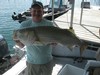 (09/03/2016) - Nice Striped Bass